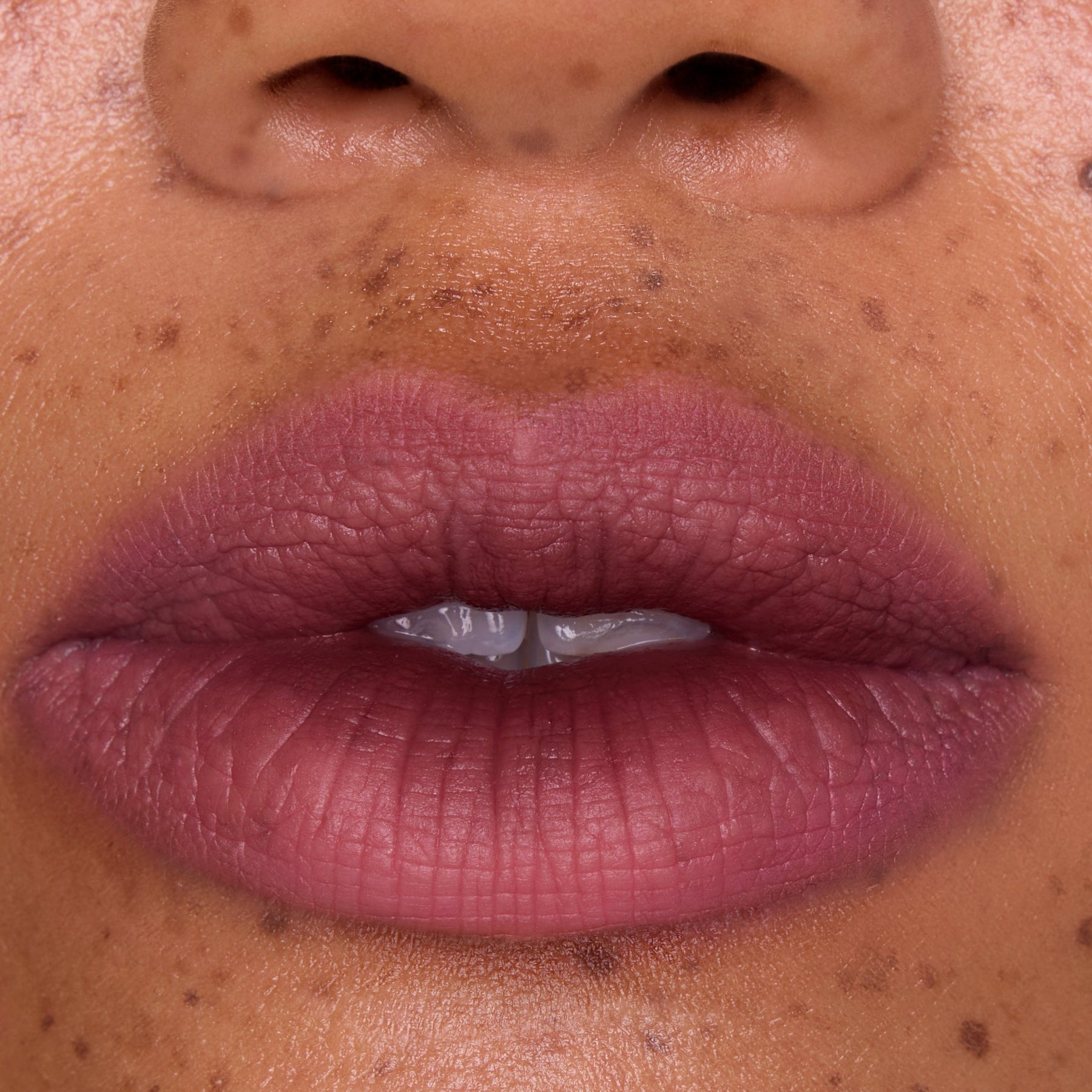 Mocha Plum - Daily Set