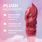 What the Fluff - Everyday Pop