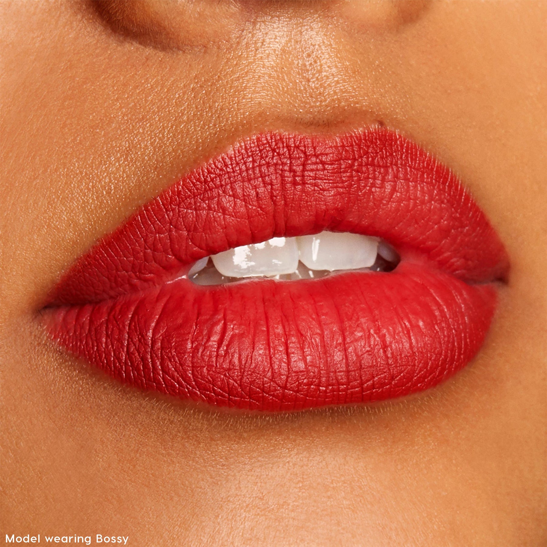 The Lil Box of Lippie Pencils - Easy Set