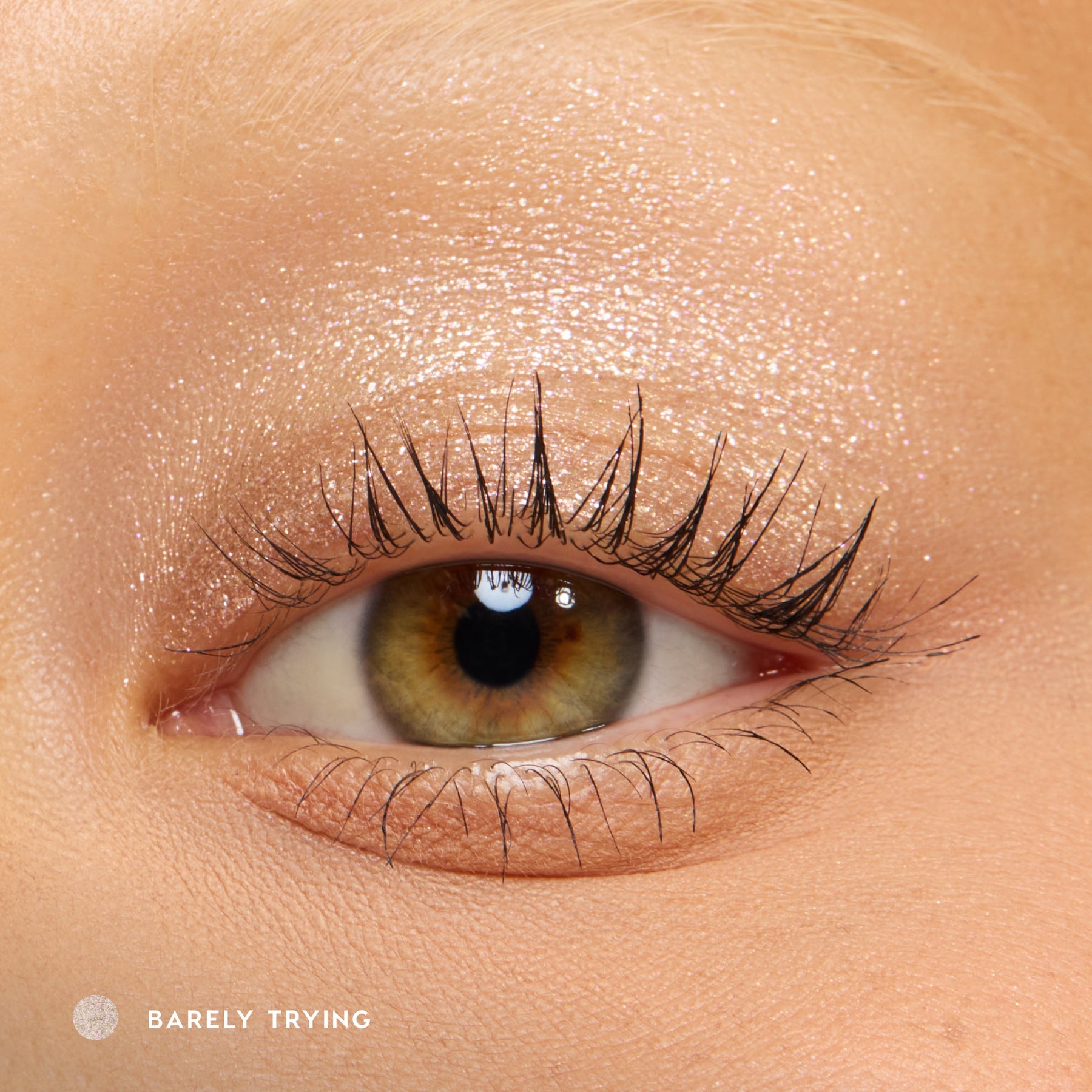 Barely Trying - Everyday Pop